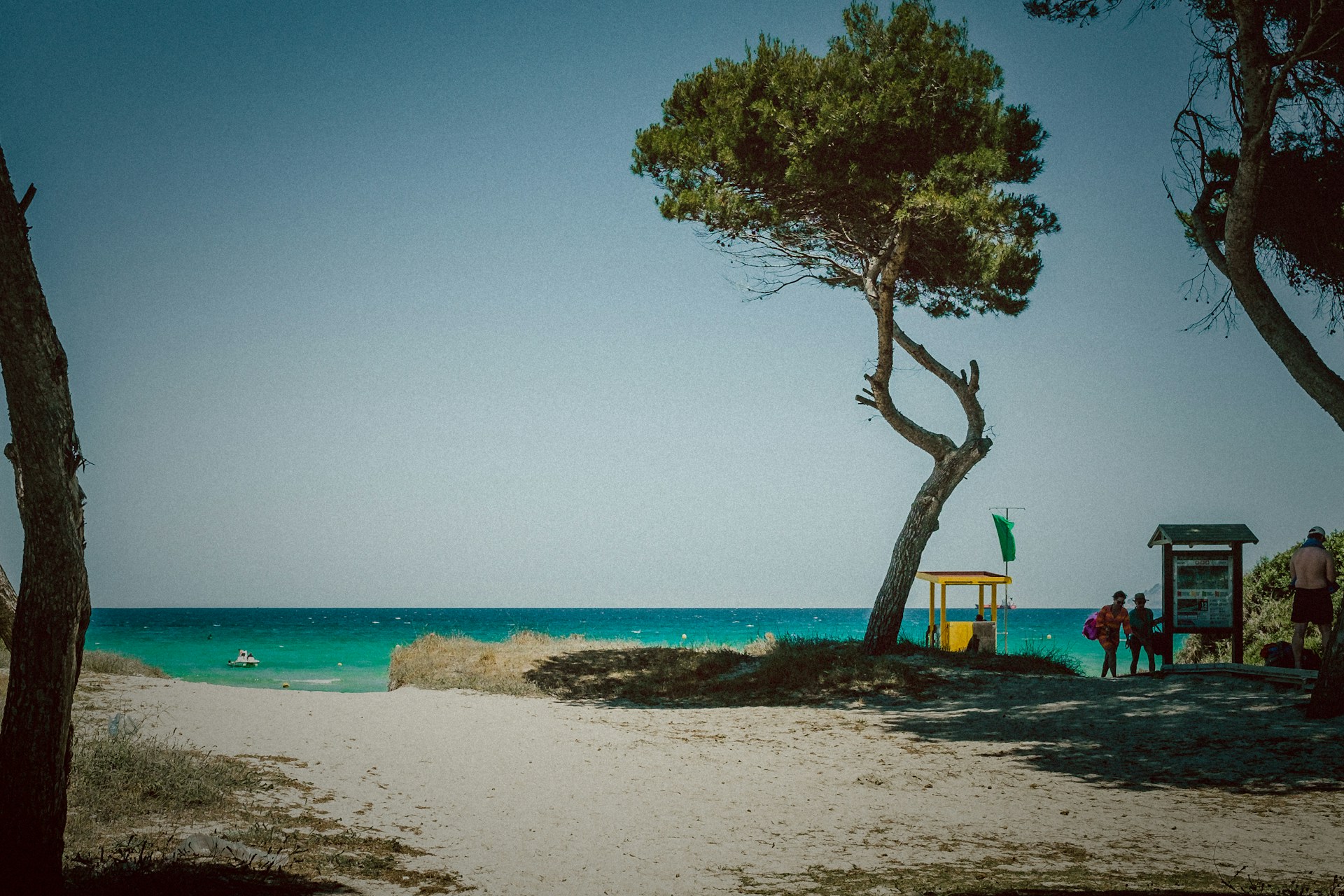 tobias-4K-6l1NroLk-unsplash