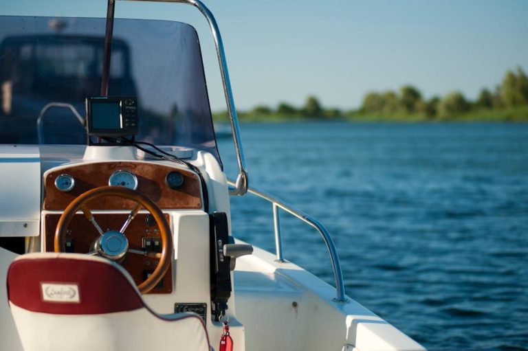 The High Seas and Low Costs: Navigating Budget-Friendly Cruise Options